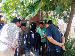 Pelatihan Budidaya maggot di Joglo Larva Center